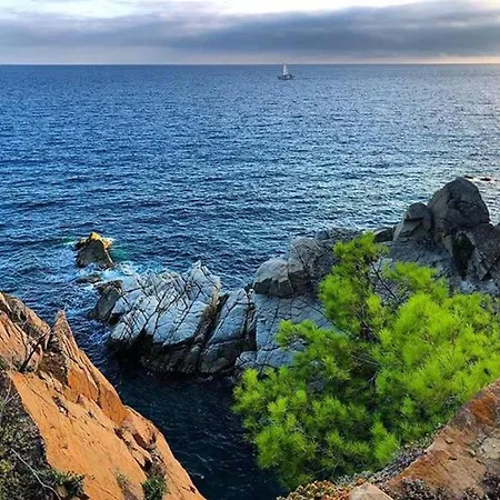 Equipped Centric With Large Terrace * Lloret de Mar